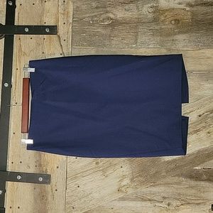 Express Navy Pencil Skirt